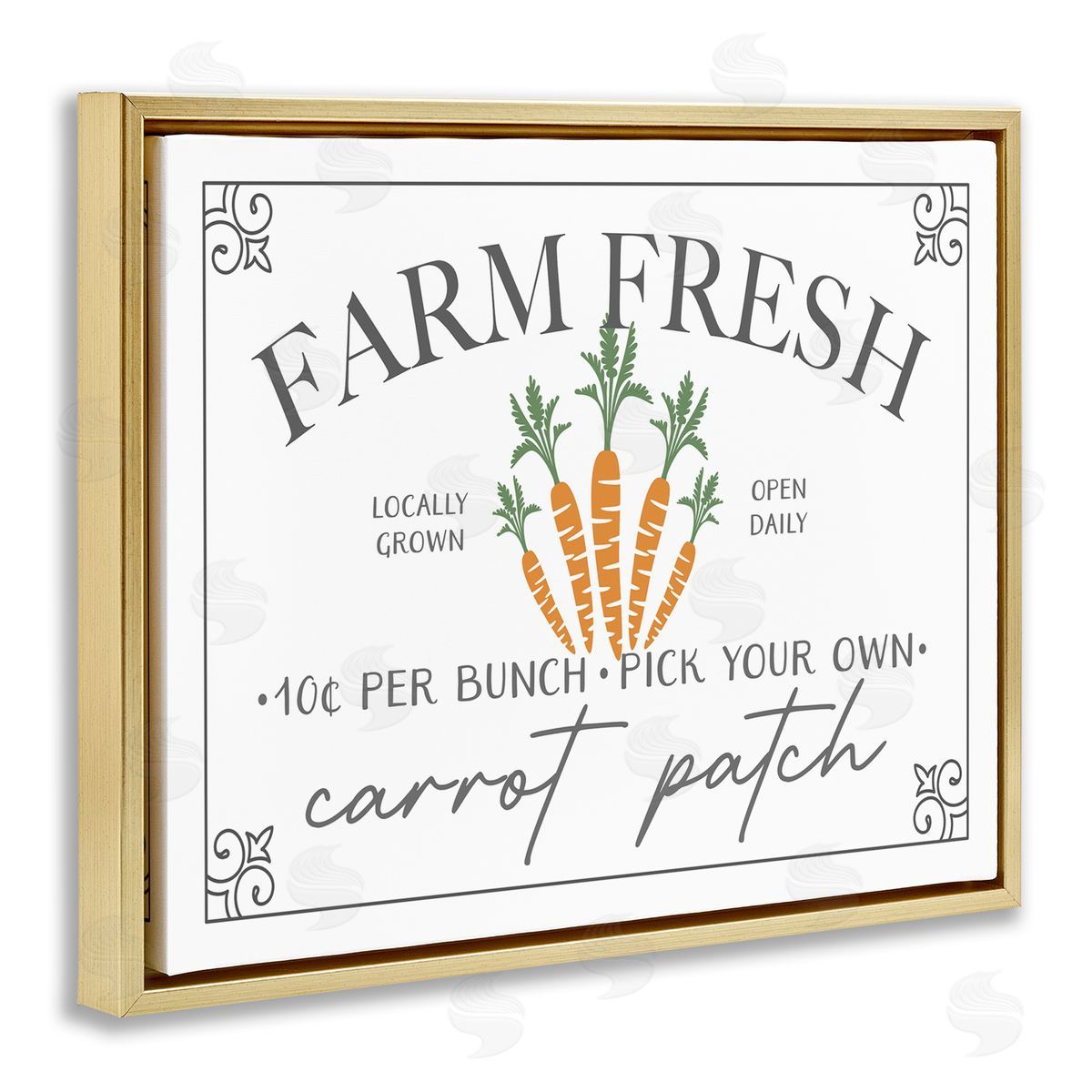 JJ House LLC Farm Fresh Carrot Patch Seasonal Springtime Vegetables Gold Floating Frame Canvas Wall Art Print