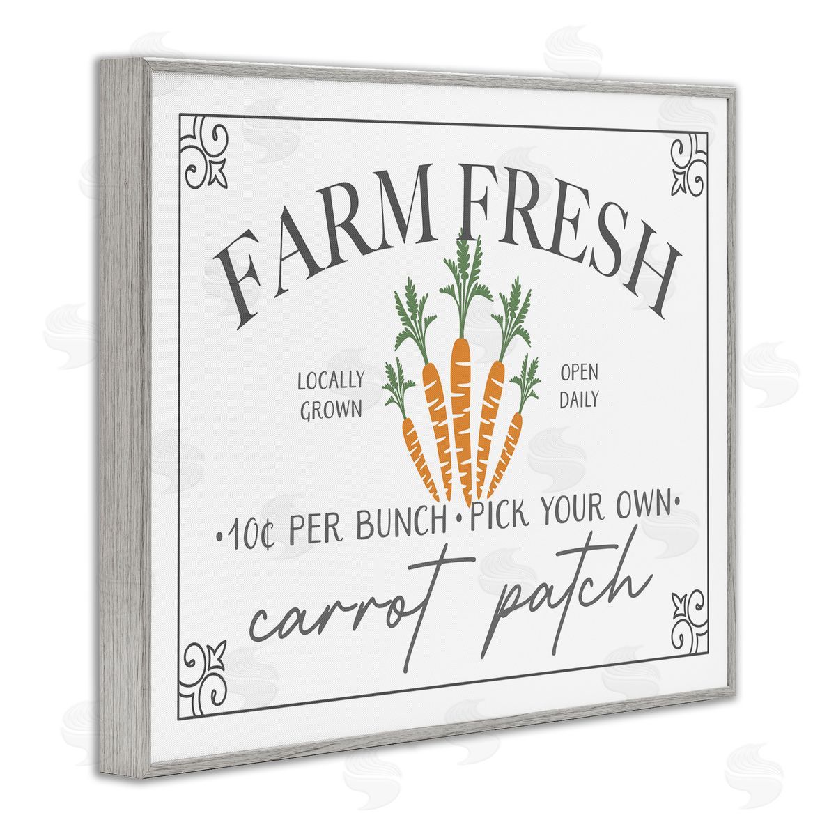 JJ House LLC Farm Fresh Carrot Patch Seasonal Springtime Vegetables Gray Framed Giclee Wall Art Print