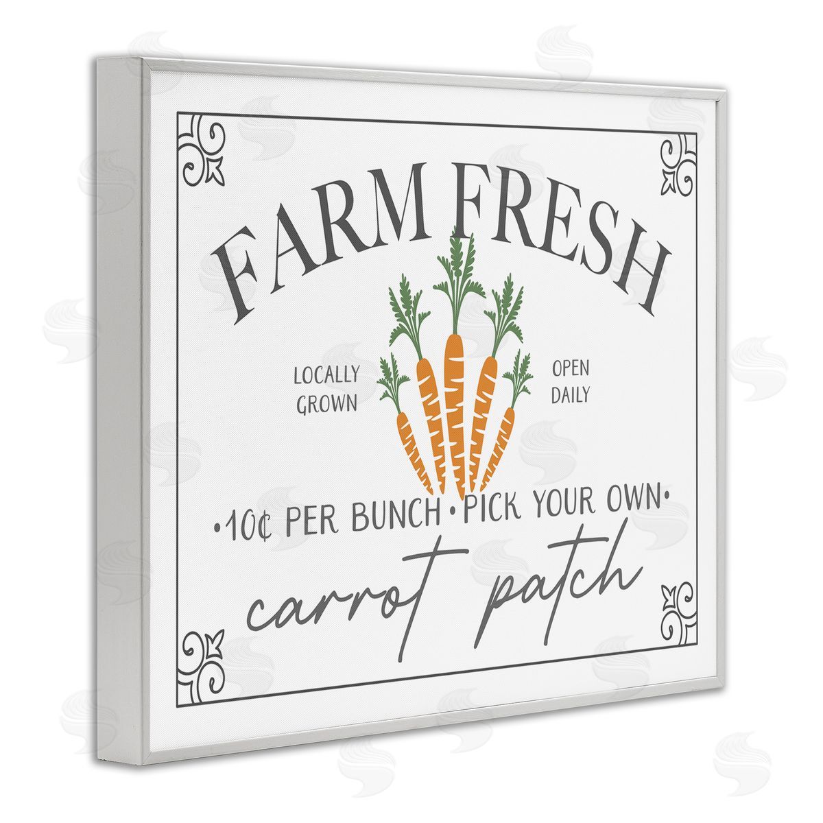JJ House LLC Farm Fresh Carrot Patch Seasonal Springtime Vegetables White Framed Giclee Wall Art Print