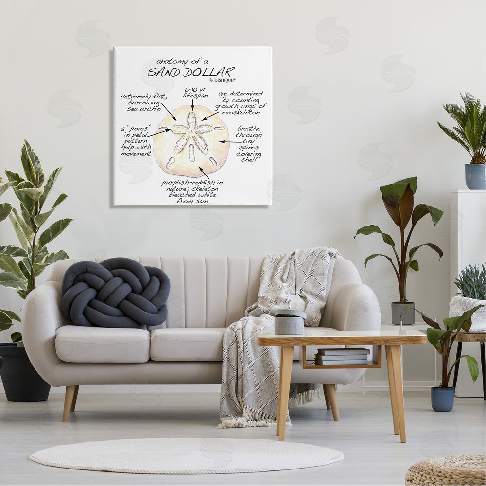 Dishique Informative Sand Dollar Learning Chart Nautical Education Canvas Wall Art in Room