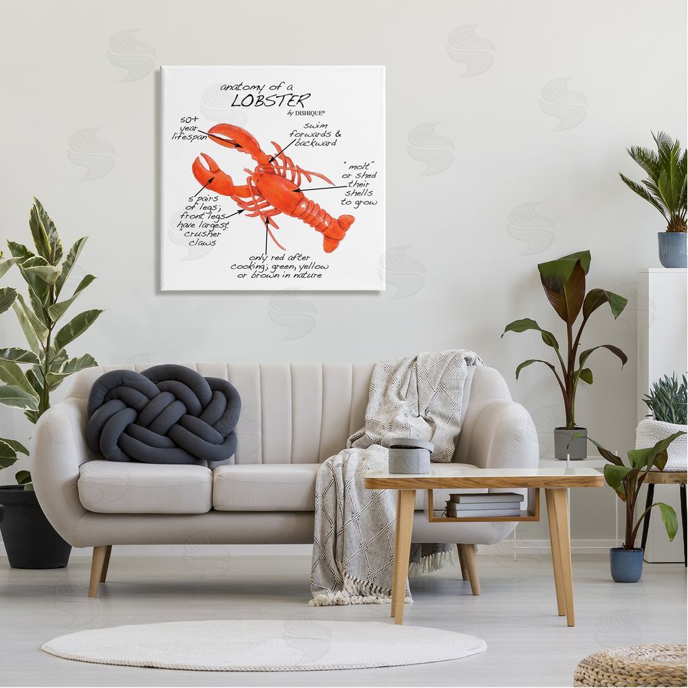 Dishique Lobster Anatomy Nautical Sea Life Learning Chart Canvas Wall Art in Room
