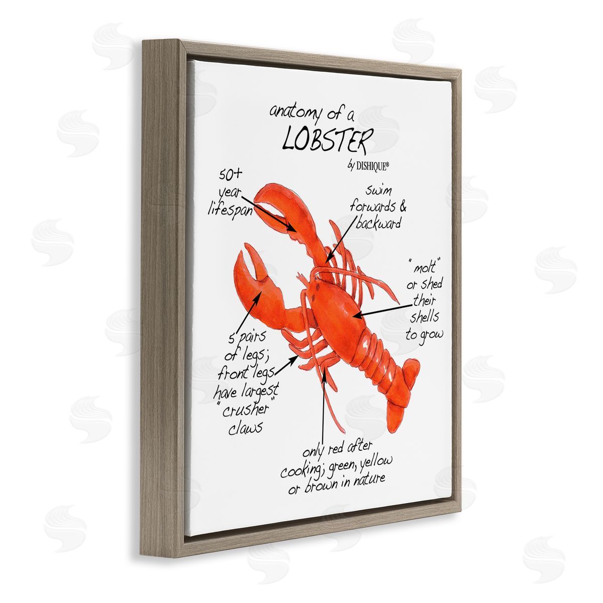Dishique Lobster Anatomy Nautical Sea Life Learning Chart Brown Floating Frame Canvas Wall Art Print