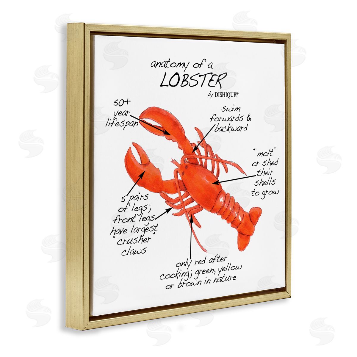 Dishique Lobster Anatomy Nautical Sea Life Learning Chart Gold Floating Frame Canvas Wall Art Print