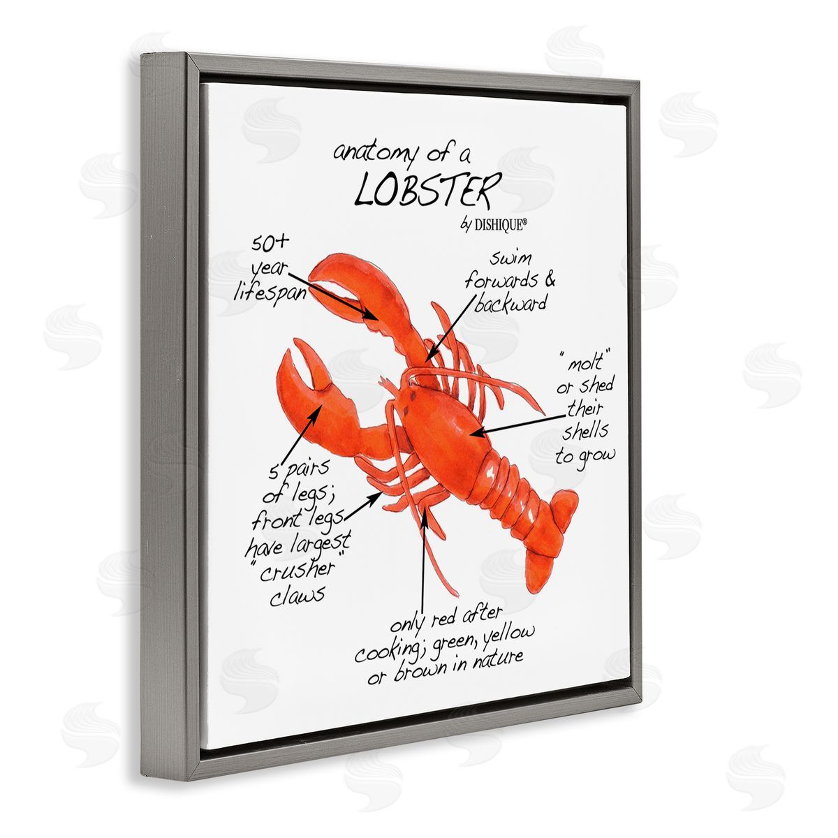 Dishique Lobster Anatomy Nautical Sea Life Learning Chart Gray Floating Frame Canvas Wall Art Print