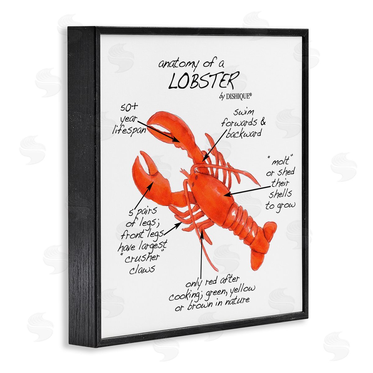 Dishique Lobster Anatomy Nautical Sea Life Learning Chart Black Framed Glicee Wall Art Print