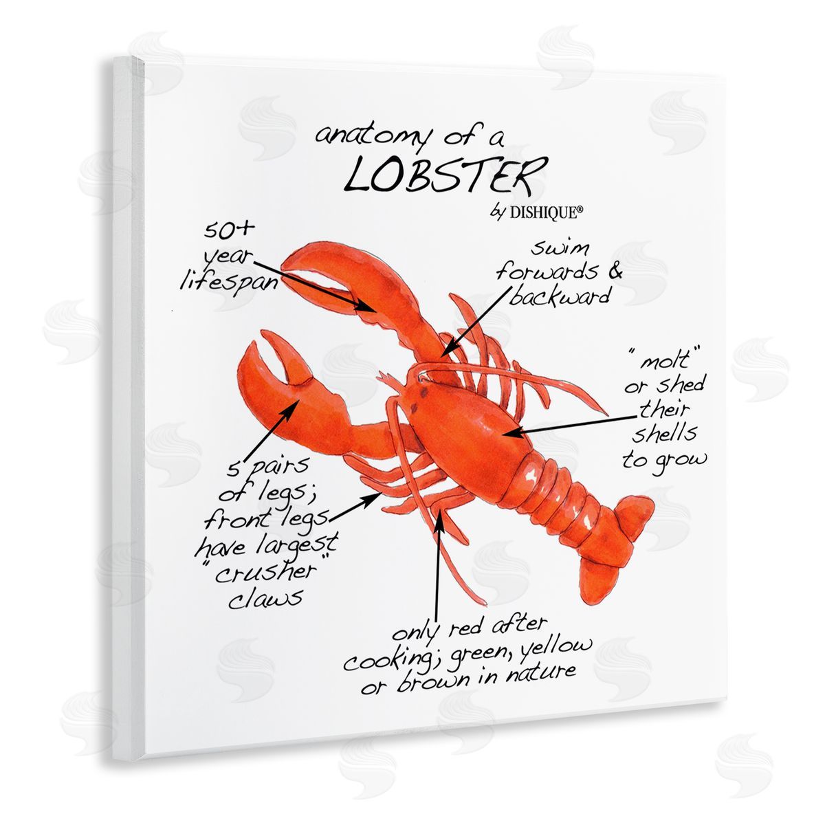 Dishique Lobster Anatomy Nautical Sea Life Learning Chart Wooden Wall Plaque Art Print