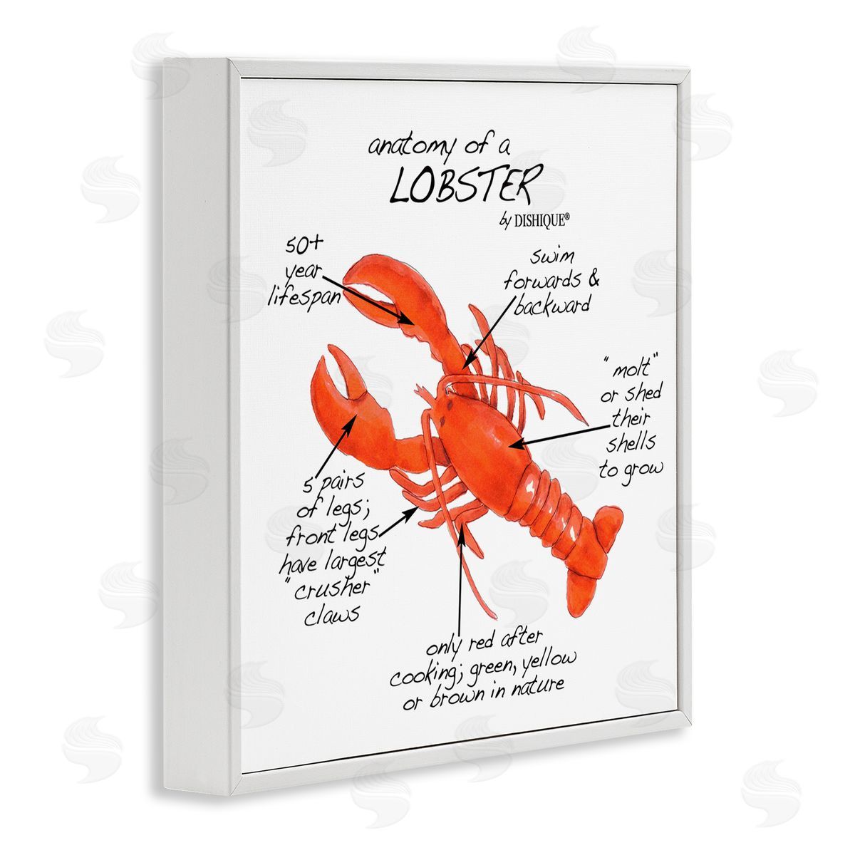 Dishique Lobster Anatomy Nautical Sea Life Learning Chart White Framed Glicee Wall Art Print