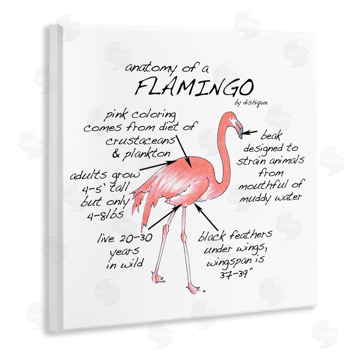 Dishique Flamingo Bird Facts Chart Educational Wildlife Animals Wooden Wall Plaque Art Print