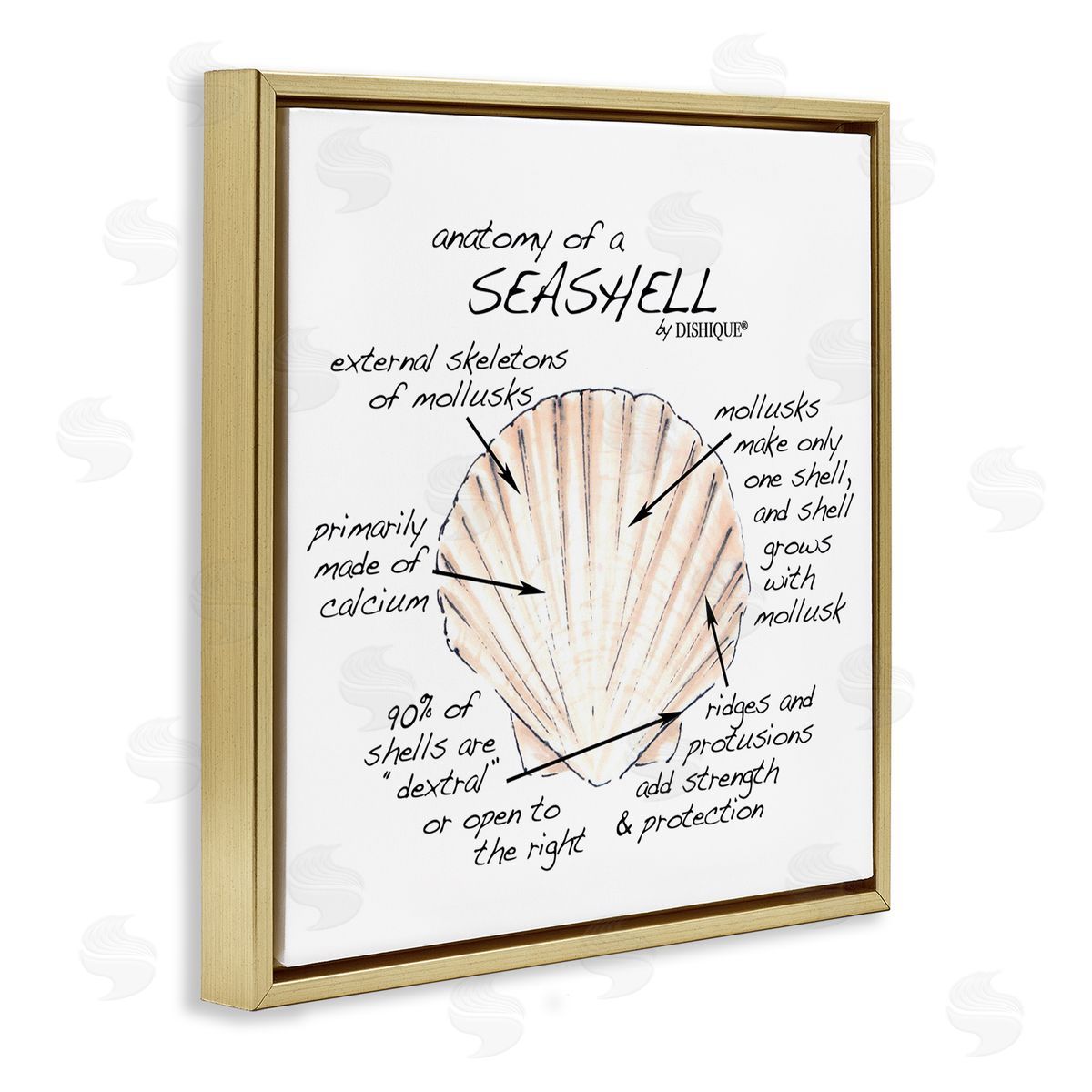 Dishique Anatomy of Seashell Educational Marine Life Facts Chart Gold Floating Frame Canvas Wall Art Print