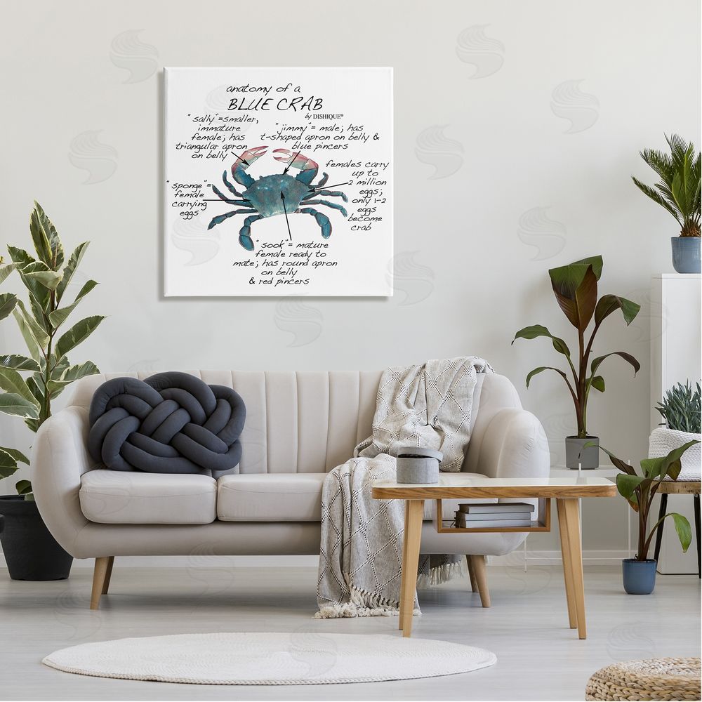 Dishique Crab Anatomy Facts Educational Sea Life Diagram Canvas Wall Art in Room