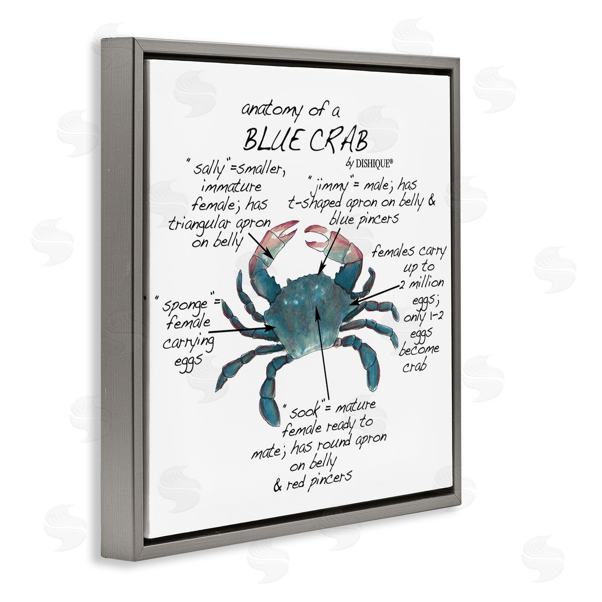 Dishique Crab Anatomy Facts Educational Sea Life Diagram Gray Floating Frame Canvas Wall Art Print