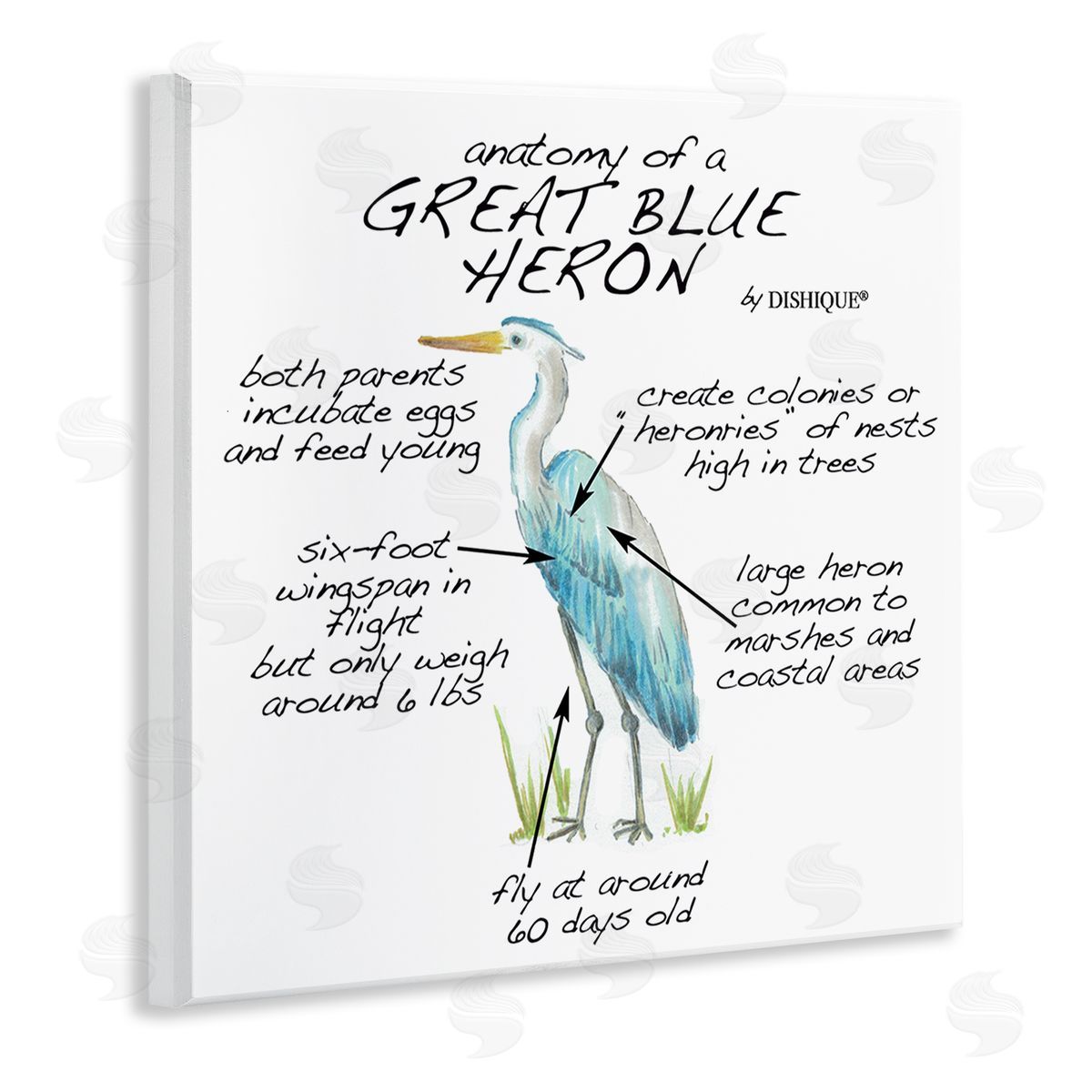 Dishique Great Blue Heron Bird Learning Diagram Wildlife Facts Wooden Wall Plaque Art Print