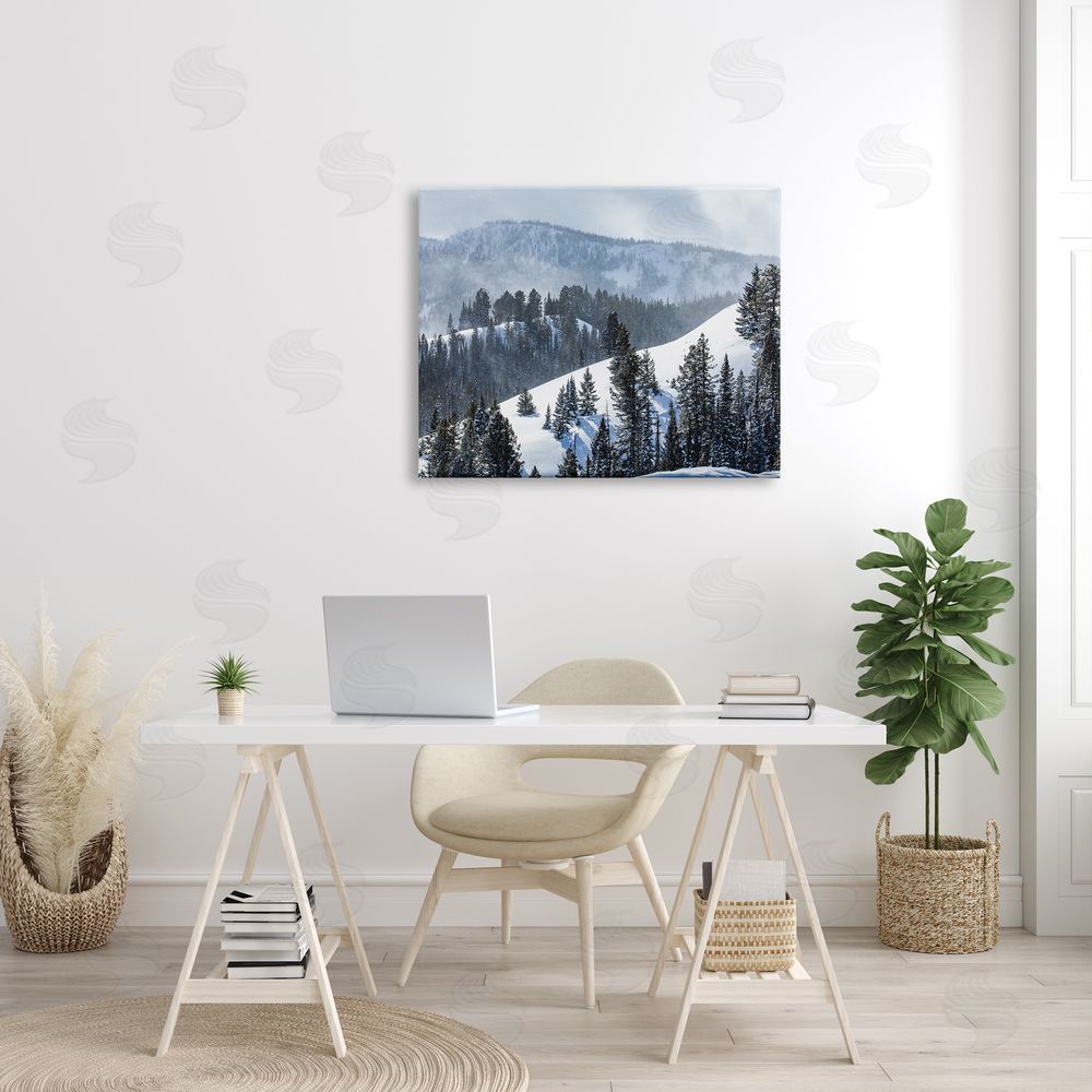 Steve Smith Quiet Snowy Mountain Slopes Scattered Fir Trees Canvas Wall Art Print in Room