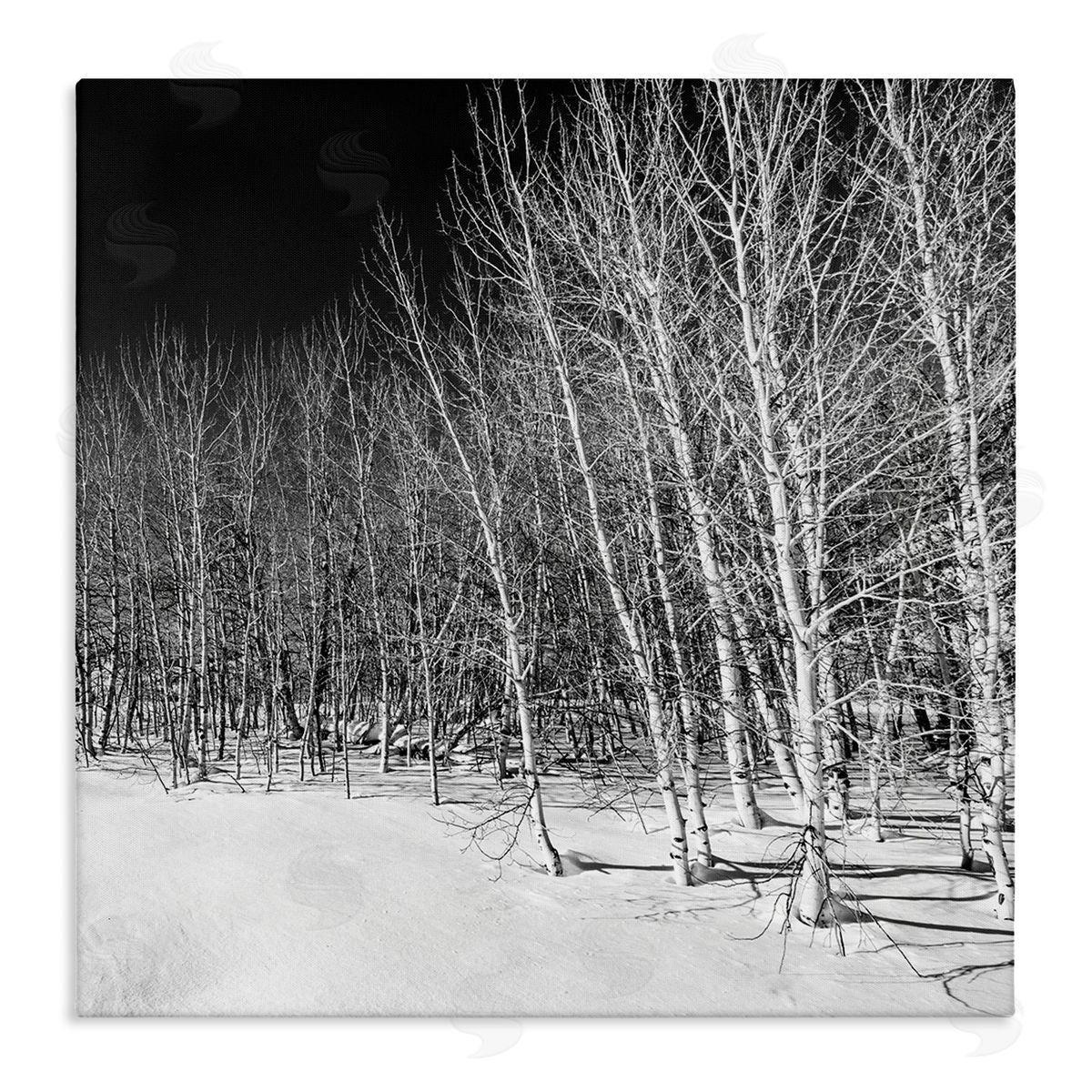 Steve Smith Mysterious Snowy Forest Looming Nighttime Birch Trees Stretched Canvas Wall Art Print