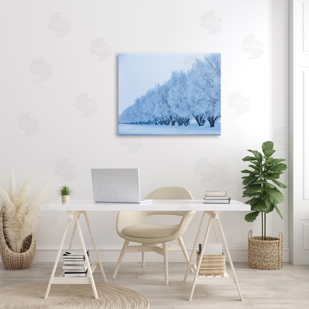 Steve Smith Winter Tree Grove Snow Covered Branches Photography Canvas Wall Art Print in Room