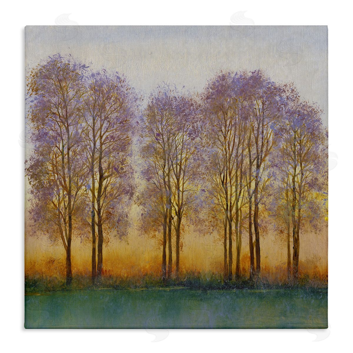 Tim O'Toole Warm Sunset Sky Trees Silhouettes Nature Scene Stretched Canvas Wall Art Print