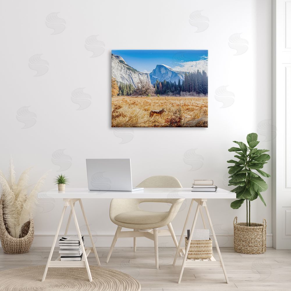 Jeff Poe Photography Wolf Grazing Rural Grassland Clear Sky Mountains Canvas Wall Art Print in Room