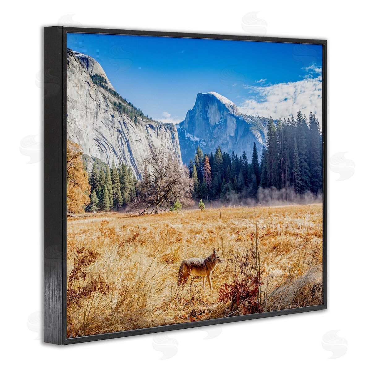 Jeff Poe Photography Wolf Grazing Rural Grassland Clear Sky Mountains Black Framed Giclee Wall Art Print