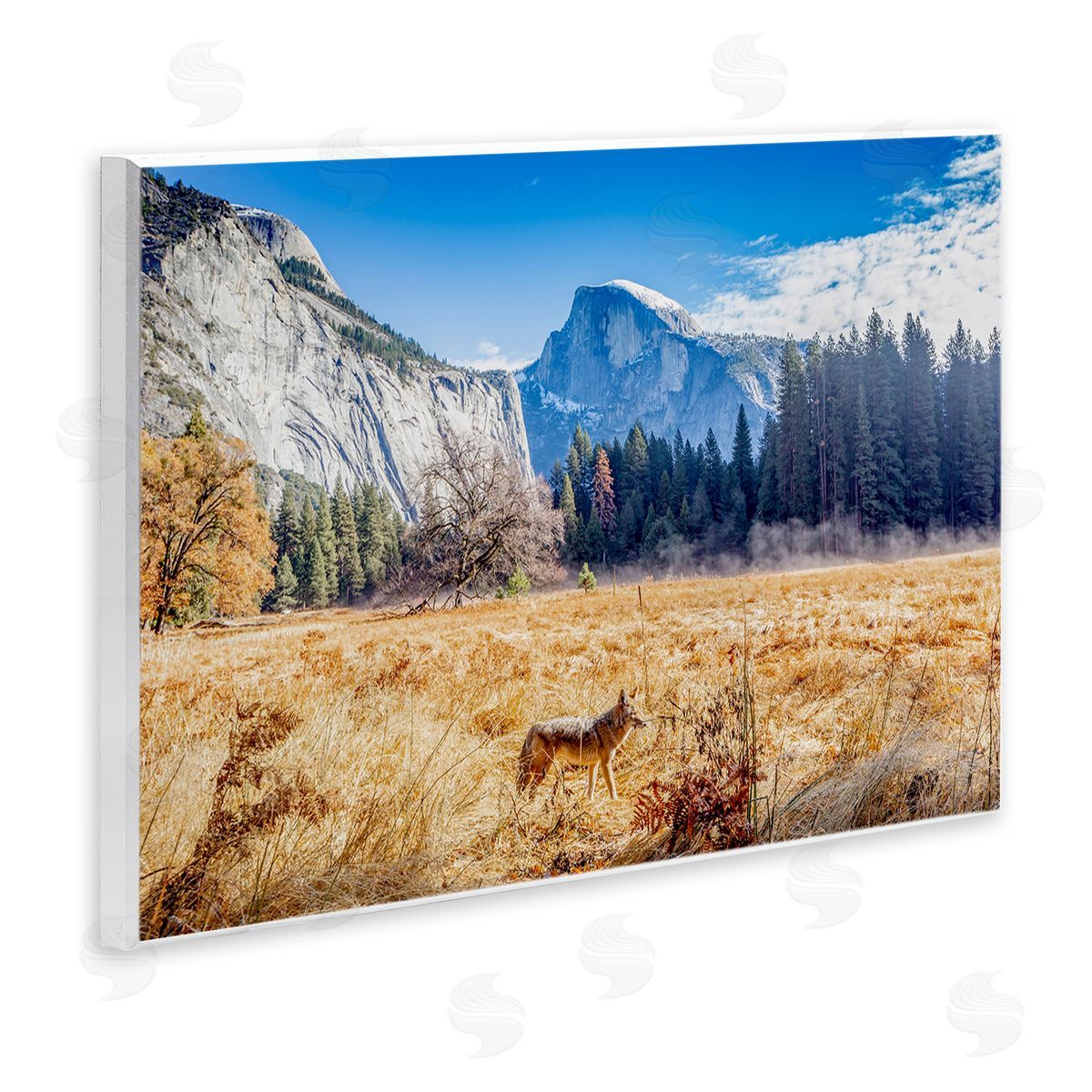 Jeff Poe Photography Wolf Grazing Rural Grassland Clear Sky Mountains Wall Plaque Art Print