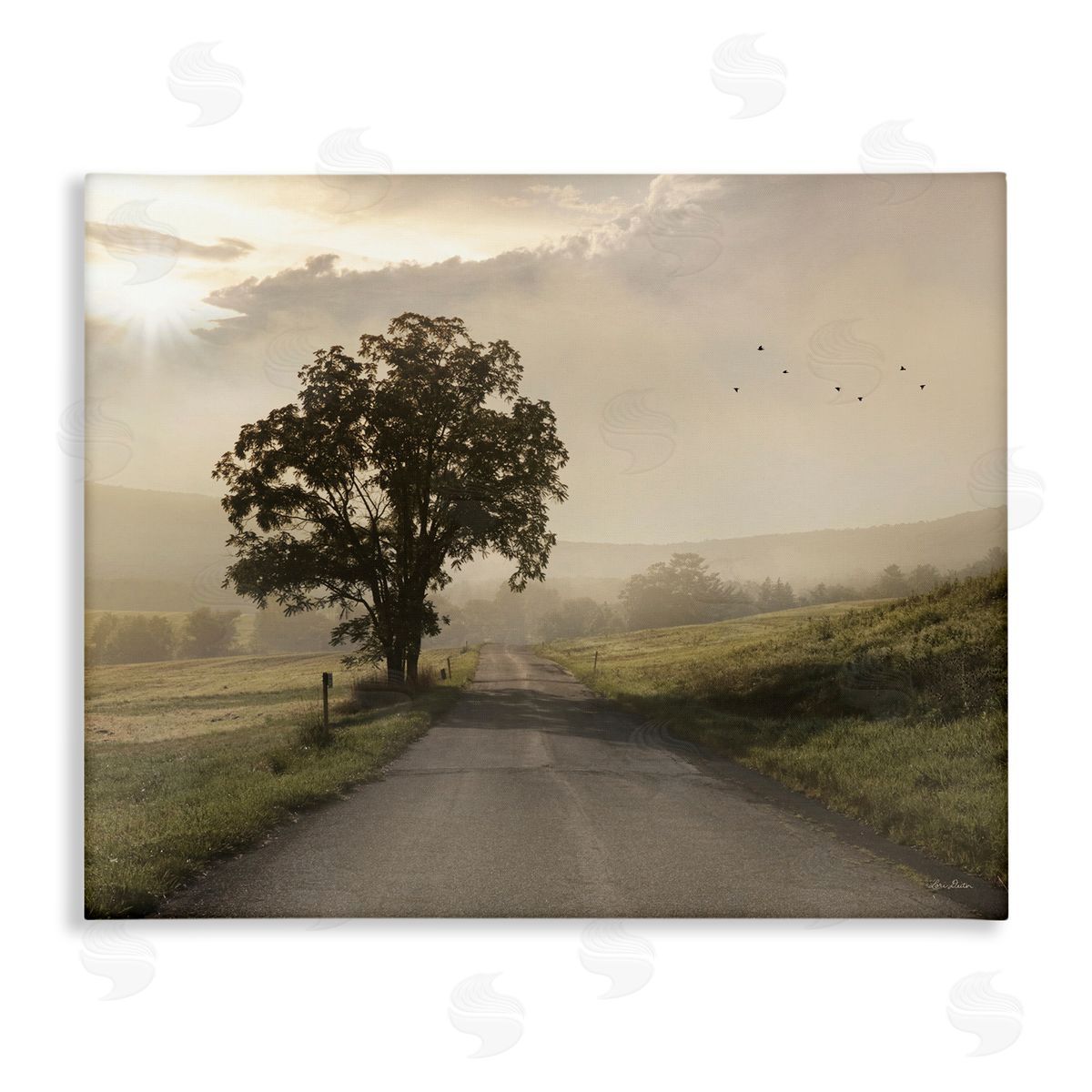 Lori Deiter Lone Tree Quiet Morning Road Rural Landscape  Stretched Canvas Wall Art Print