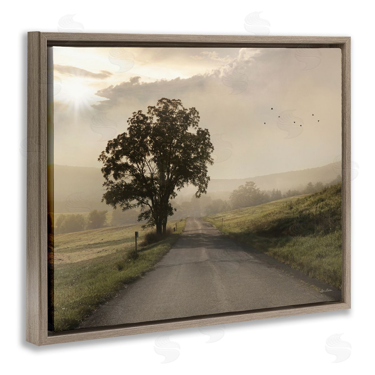Lori Deiter Lone Tree Quiet Morning Road Rural Landscape  Brown Floating Frame Canvas Wall Art Print