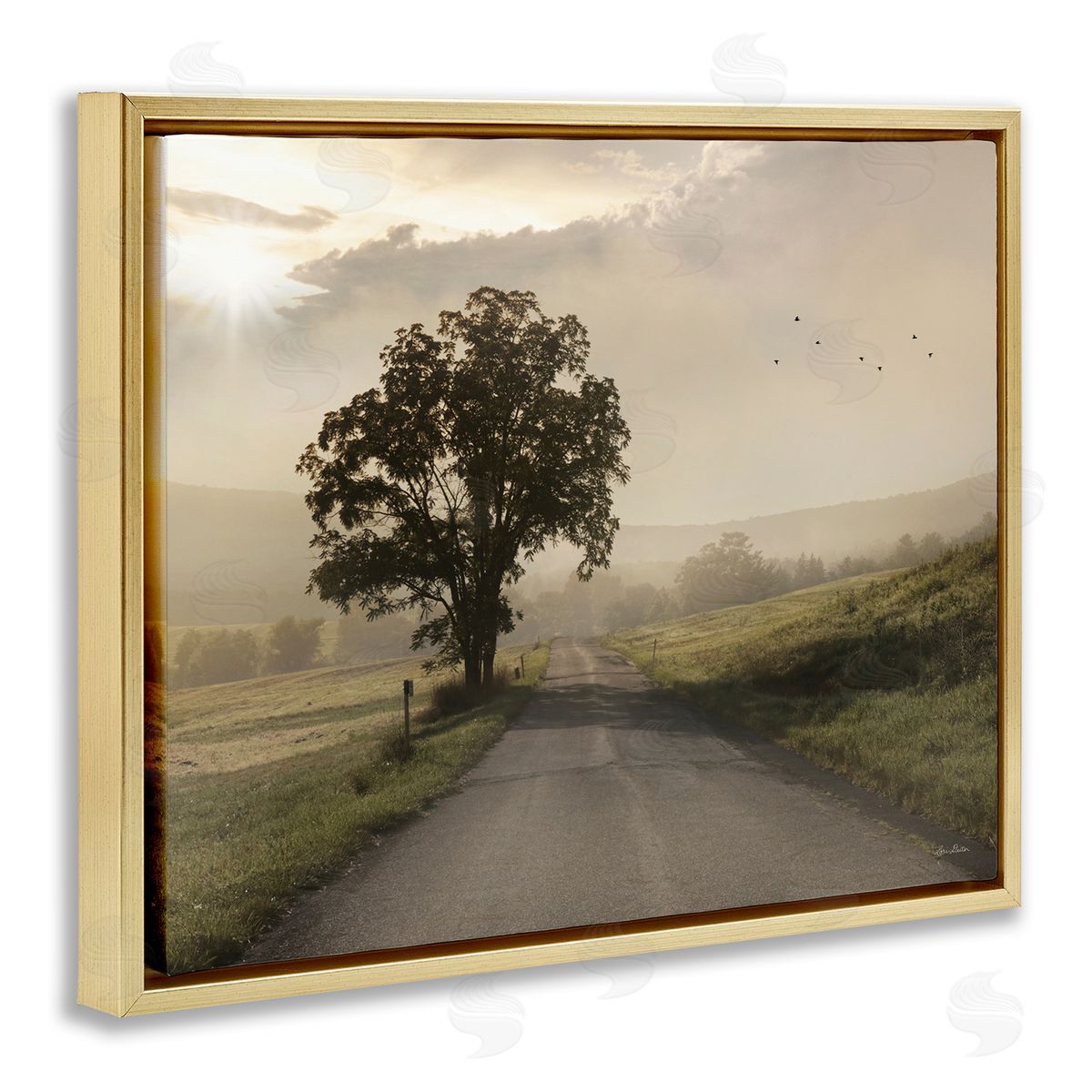 Lori Deiter Lone Tree Quiet Morning Road Rural Landscape  Gold Floating Frame Canvas Wall Art Print