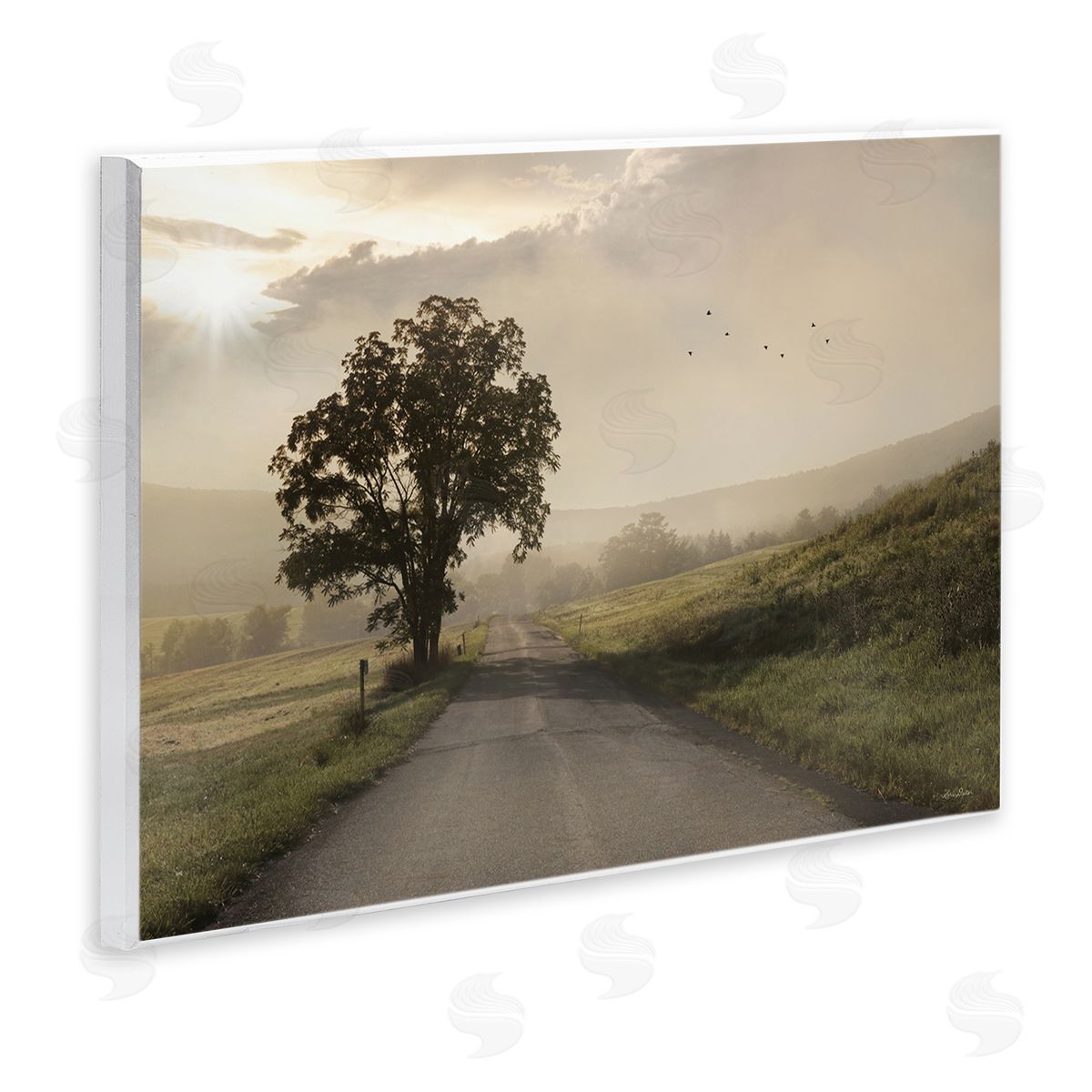 Lori Deiter Lone Tree Quiet Morning Road Rural Landscape  Wall Plaque Art Print