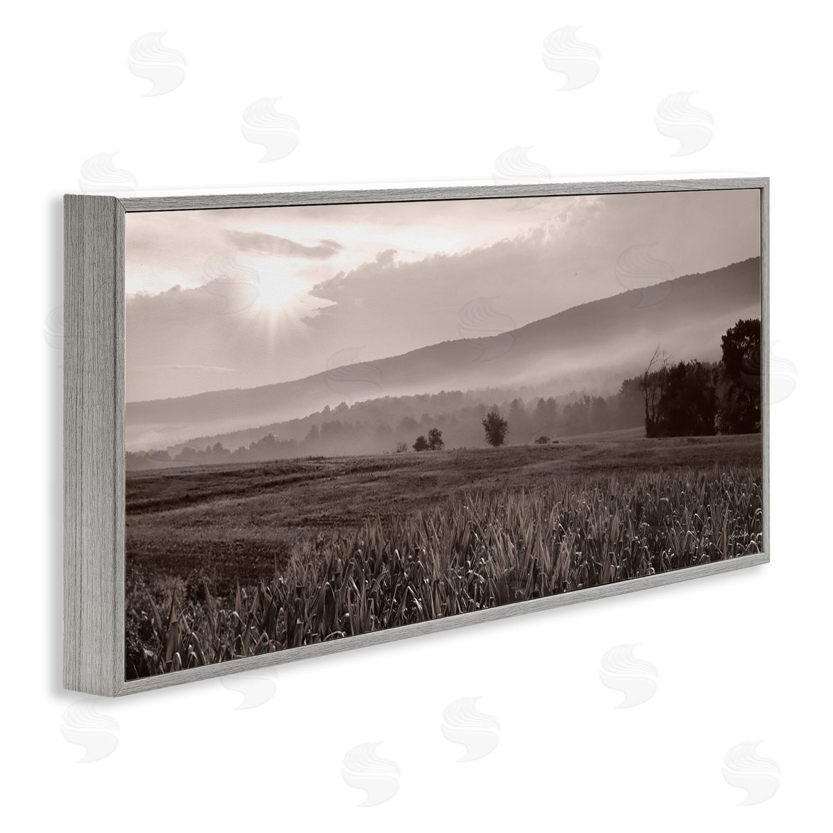 Lori Deiter Agricultural Countryside Farm Emerging Sun Rays Photography