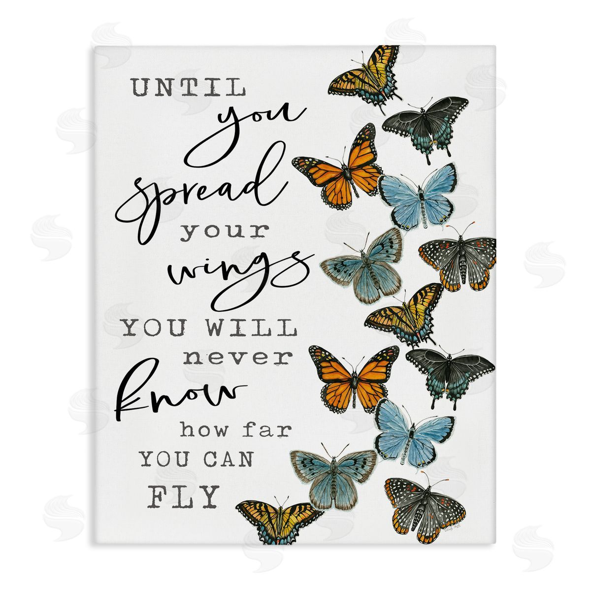Cindy Jacobs Spread Your Wings Encouraging Butterflies Motivational Quote Stretched Canvas Wall Art Print