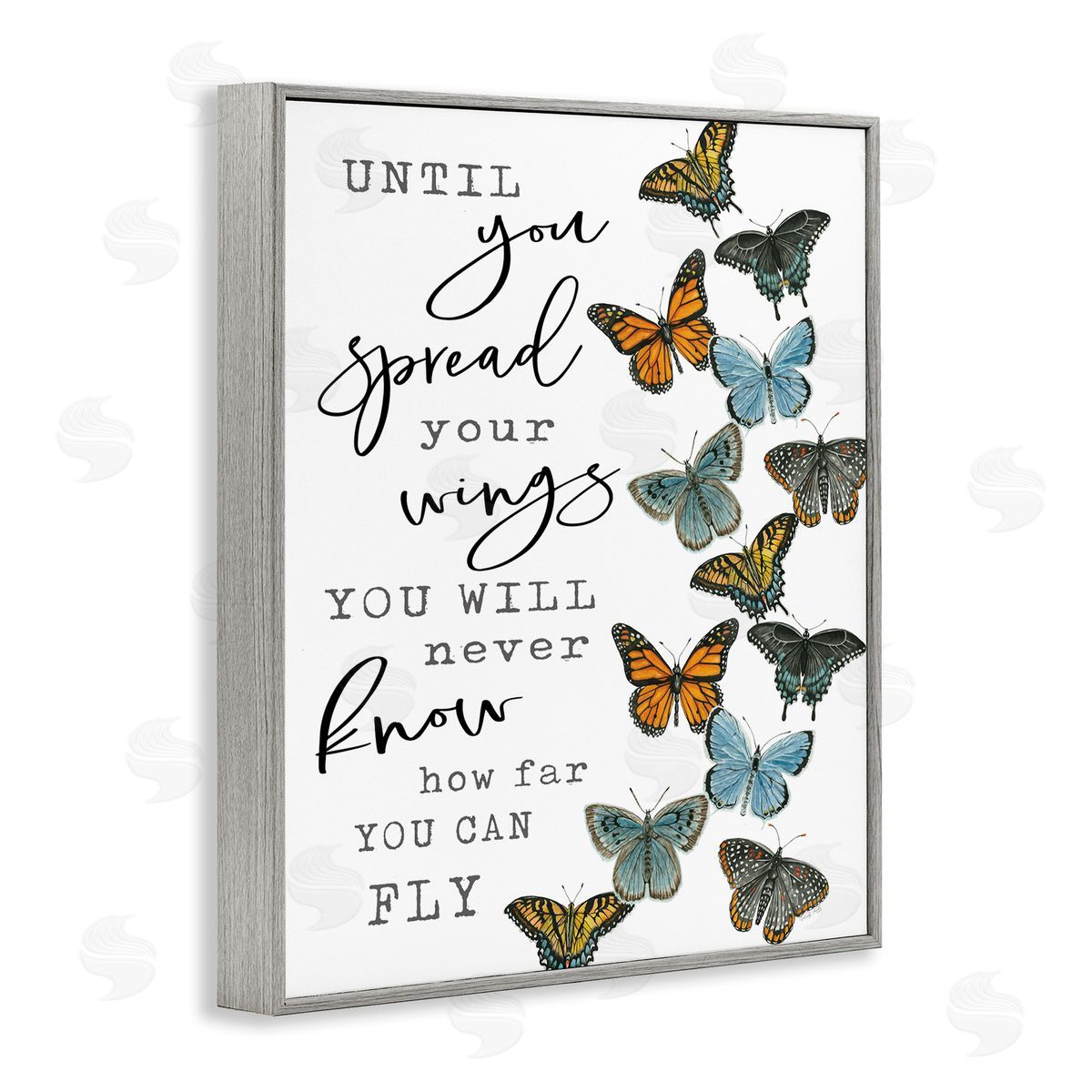 Cindy Jacobs Spread Your Wings Encouraging Butterflies Motivational Quote Gray Framed Giclee Wall Art Print