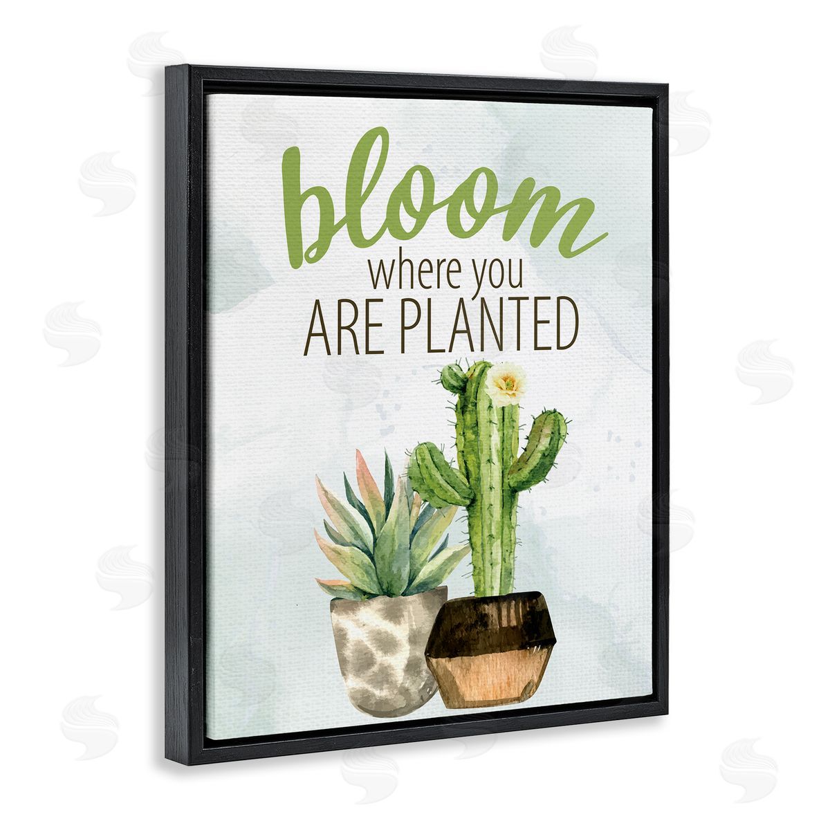 Kim Allen Bloom Where You Are Planted Cactus Succulent  Black Floating Frame Canvas Wall Art Print