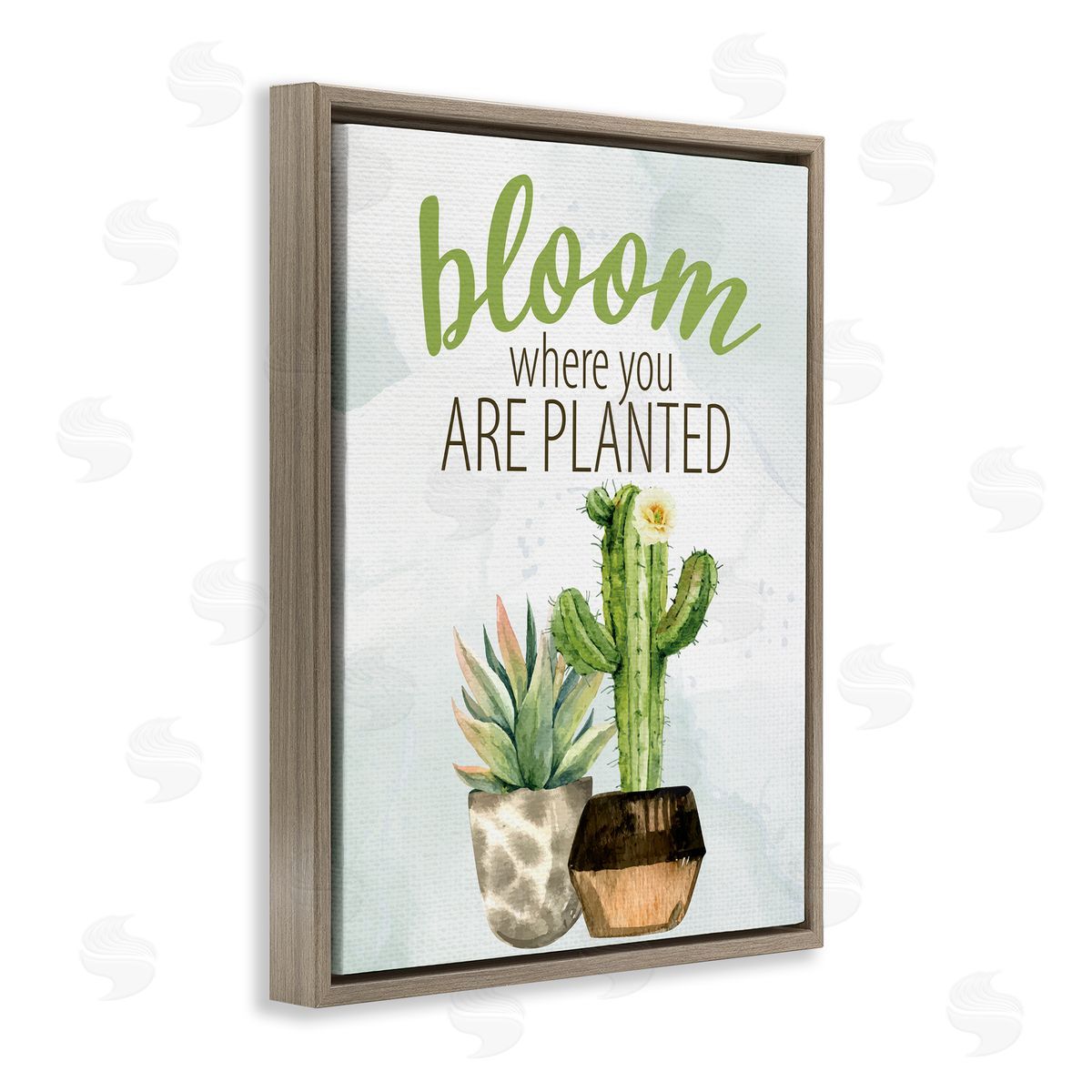 Kim Allen Bloom Where You Are Planted Cactus Succulent  Brown Floating Frame Canvas Wall Art Print