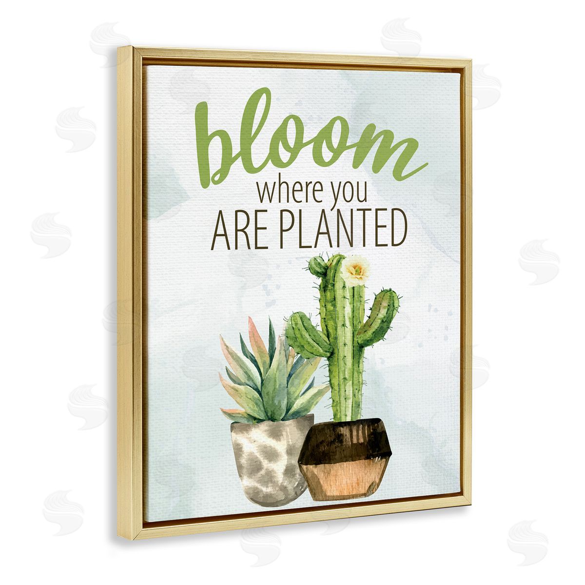 Kim Allen Bloom Where You Are Planted Cactus Succulent  Gold Floating Frame Canvas Wall Art Print