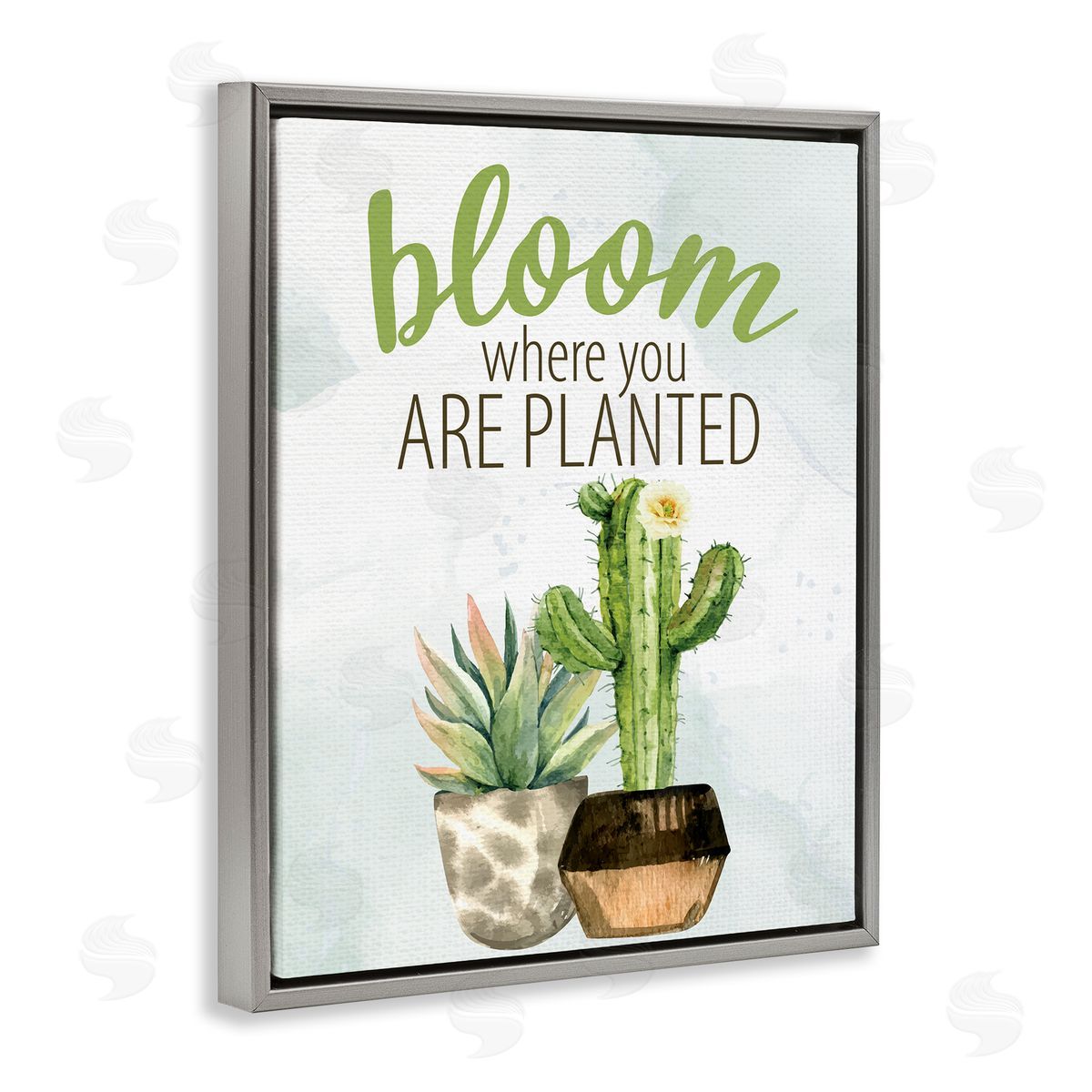 Kim Allen Bloom Where You Are Planted Cactus Succulent  Gray Floating Frame Canvas Wall Art Print