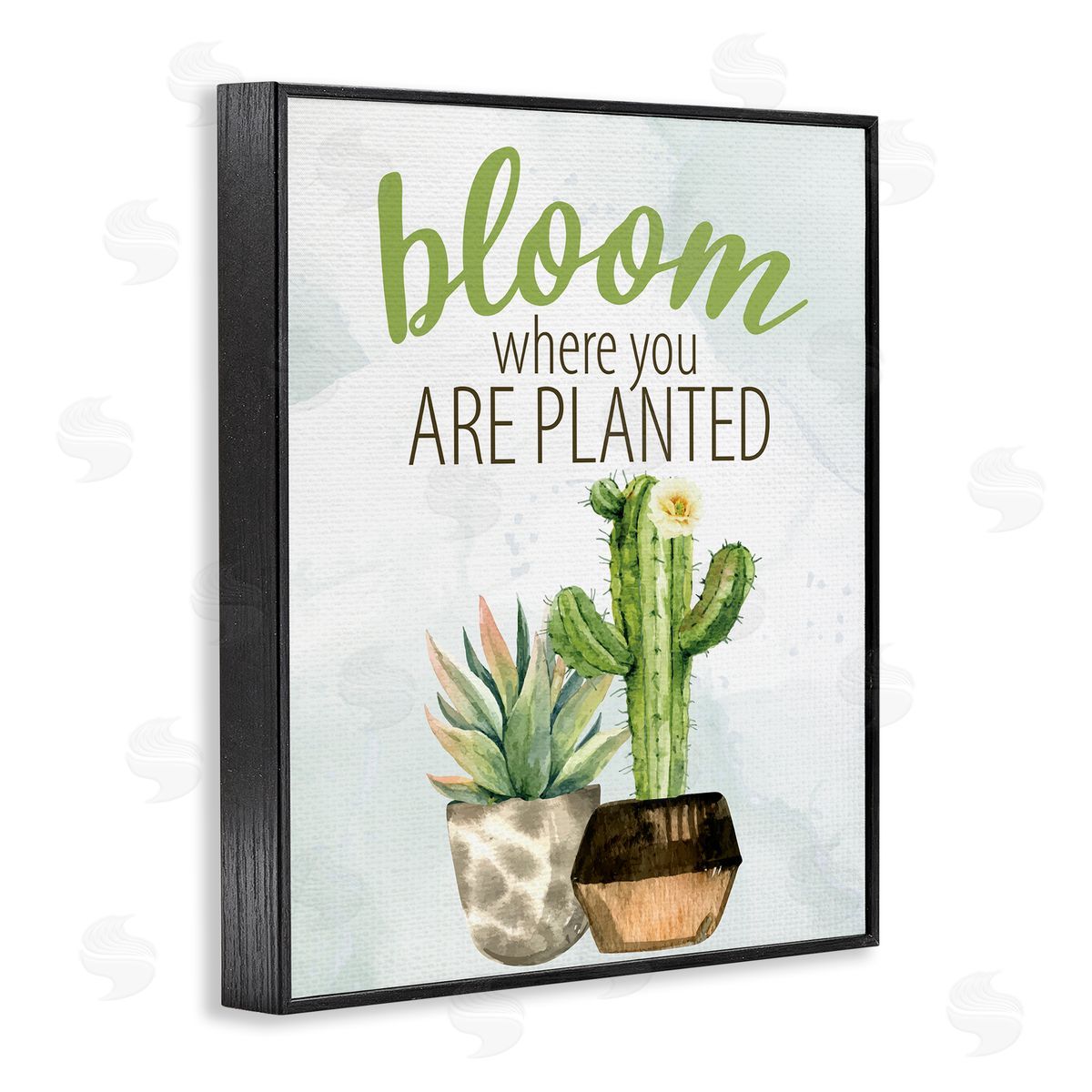 Kim Allen Bloom Where You Are Planted Cactus Succulent  Black Framed Giclee Wall Art Print