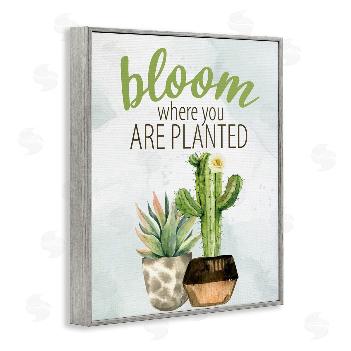 Kim Allen Bloom Where You Are Planted Cactus Succulent  Gray Framed Giclee Wall Art Print