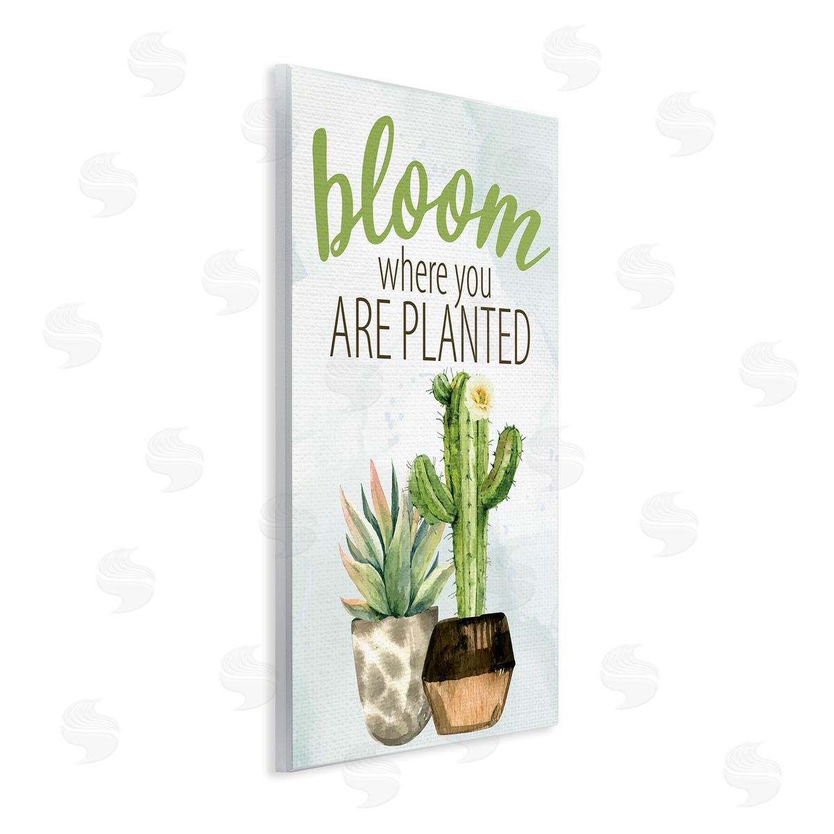 Kim Allen Bloom Where You Are Planted Cactus Succulent  Wall Plaque Art Print
