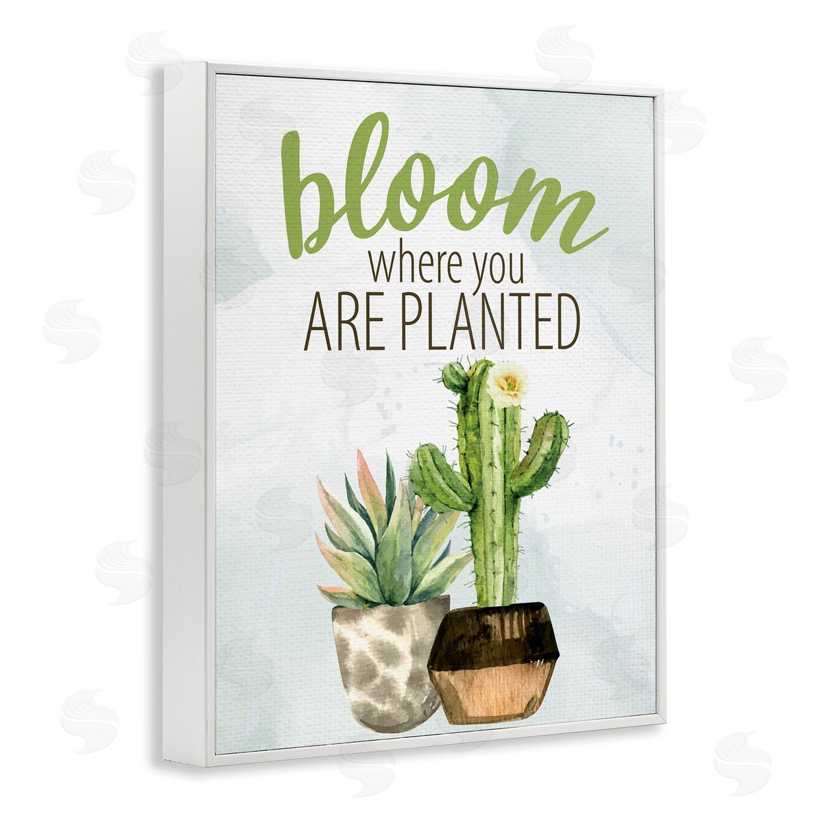 Kim Allen Bloom Where You Are Planted Cactus Succulent  White Framed Giclee Wall Art Print