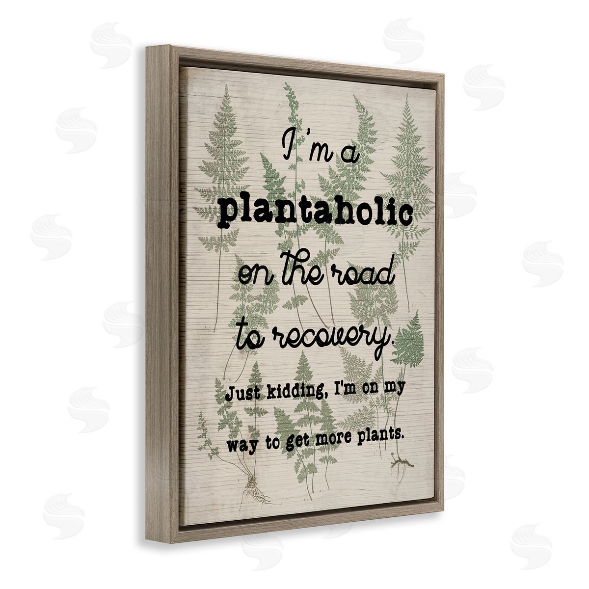 Stupell Studio Humorous Plantaholic Gardening Phrase Fern Plant Pattern Brown Floating Frame Canvas Wall Art Print