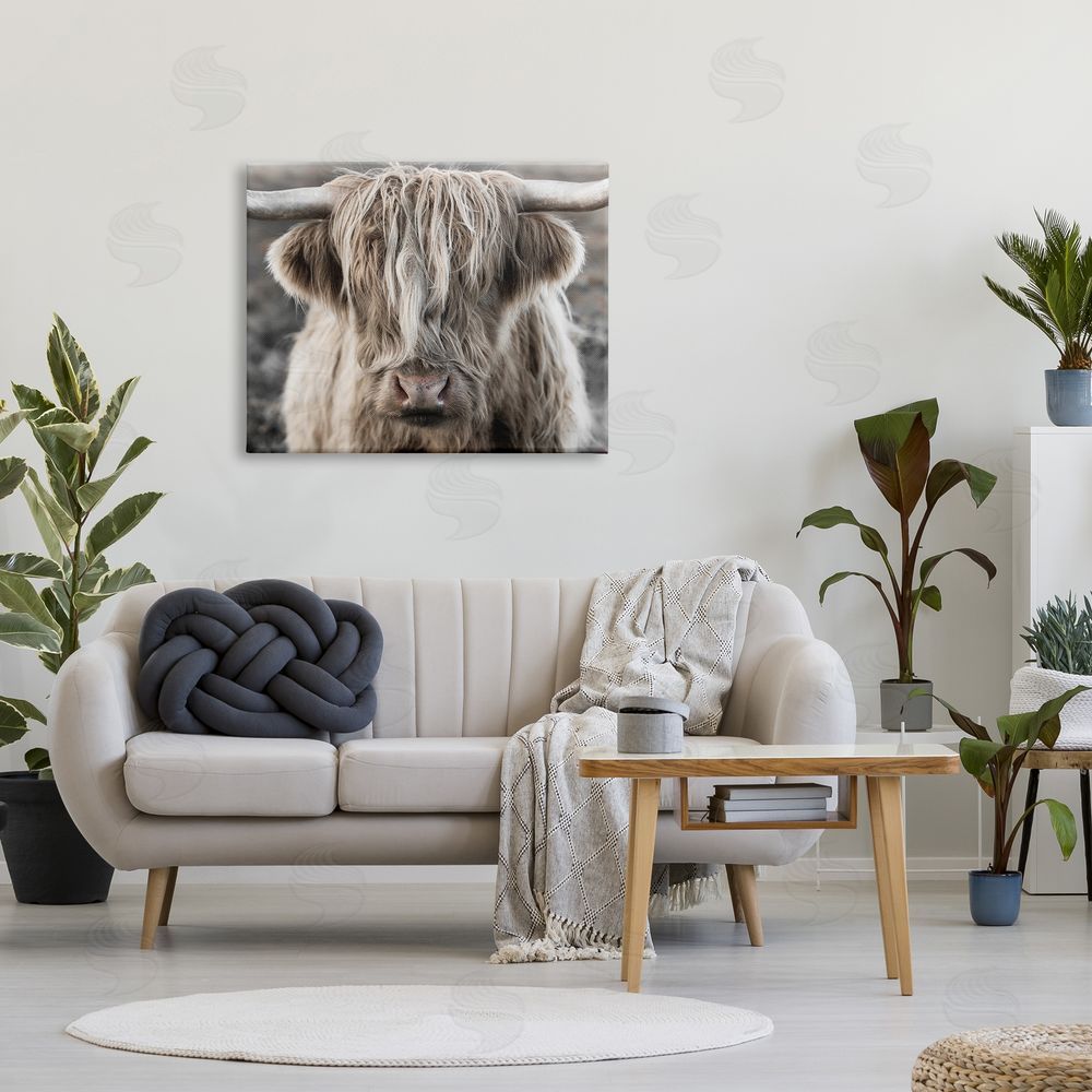 Danita Delimont Detailed Highlands Cattle Rural Farm Photography Canvas Wall Art Print in Room