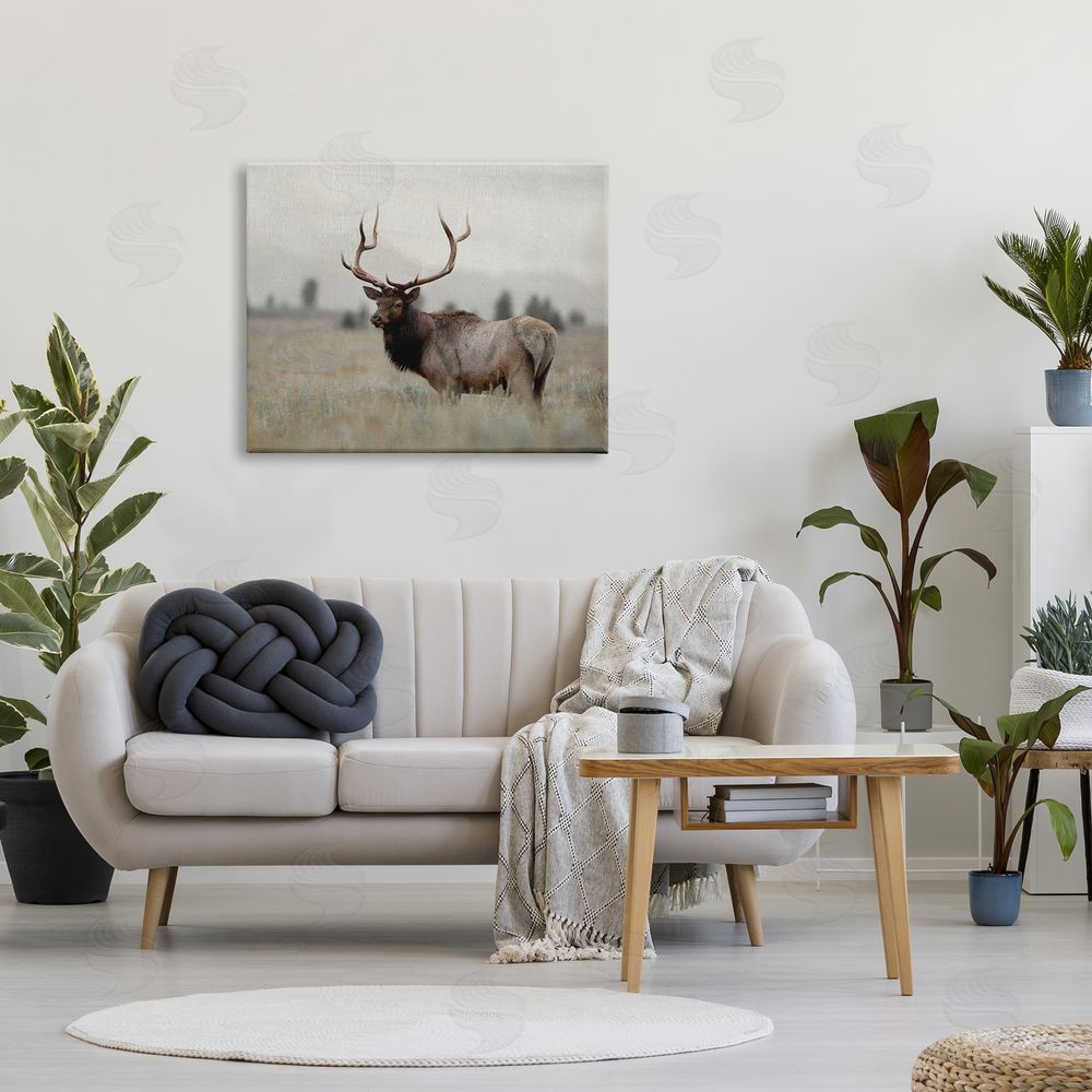 Danita Delimont Tranquil Elk Deer Grazing Rural Farmland Field  Canvas Wall Art Print in Room