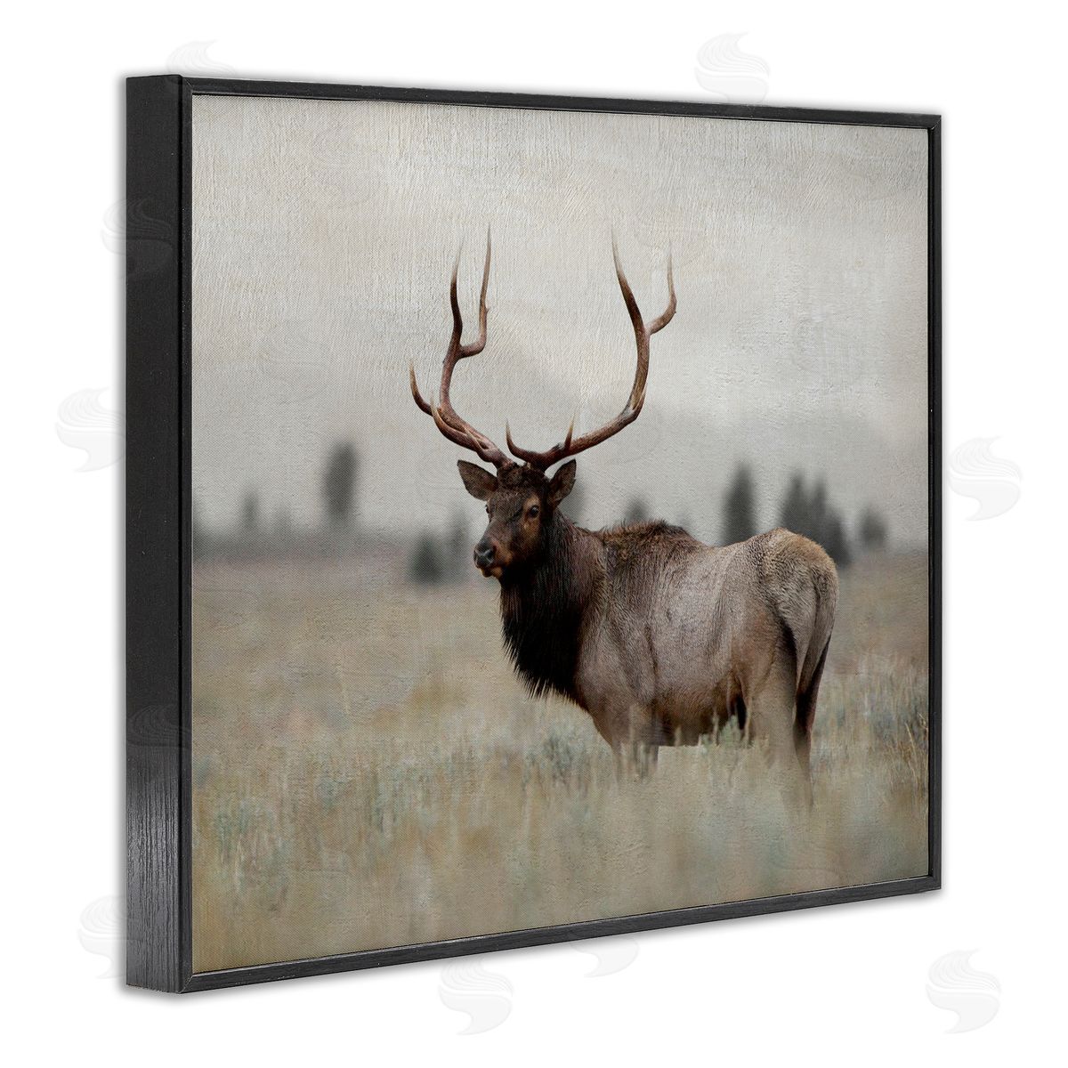 Danita Delimont Tranquil Elk Deer Grazing Rural Farmland Field  Black Framed Giclee Wall Art Print