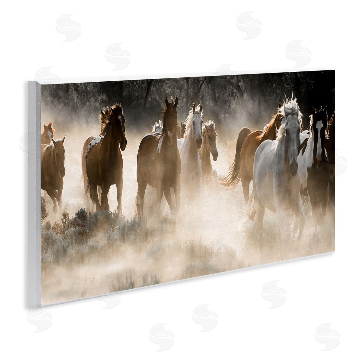 Striking Horse Herd Galloping Wood Plaque Wall Art, Home Decor by Danita Delimont