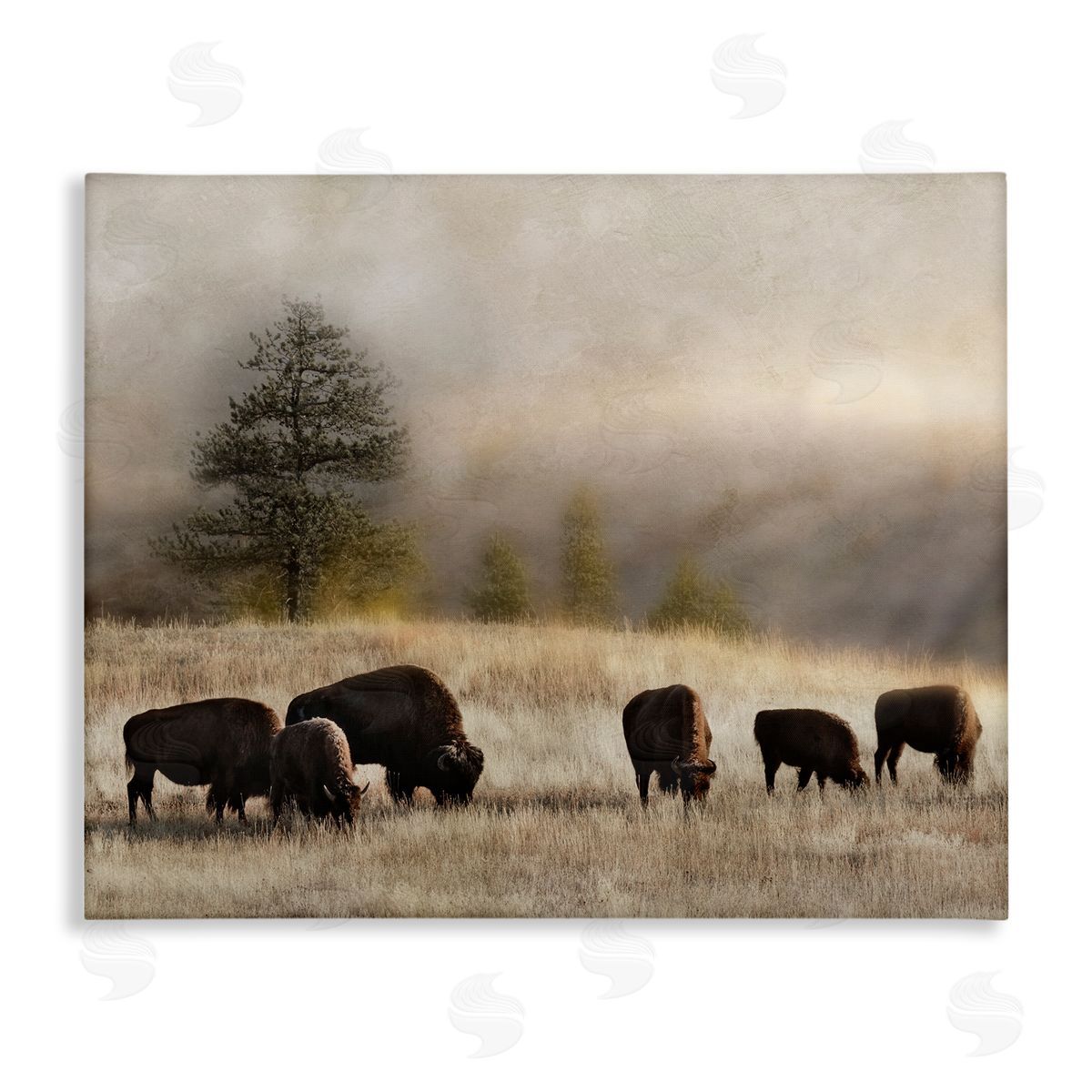 Danita Delimont Grazing Bison Rural Grassland Meadow Panoramic Scene Stretched Canvas Wall Art Print