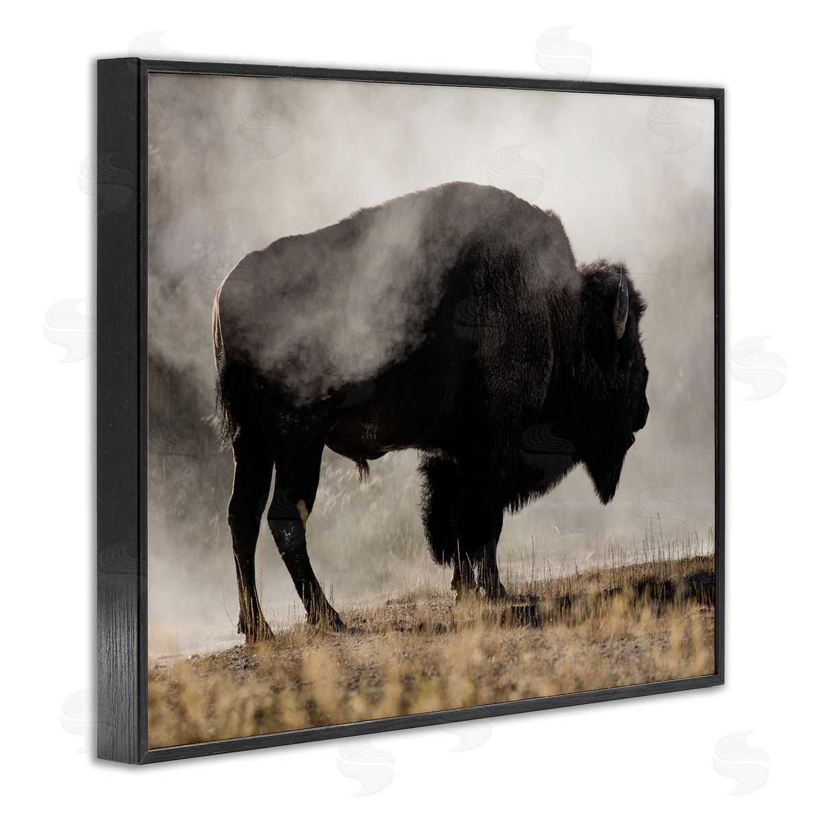 Danita Delimont Powerful Bison Grazing Foggy Rural Pasture Photography Black Framed Giclee Wall Art Print