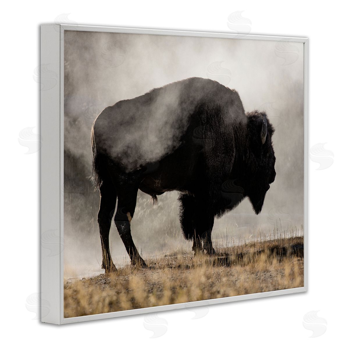 Danita Delimont Powerful Bison Grazing Foggy Rural Pasture Photography White Framed Giclee Wall Art Print
