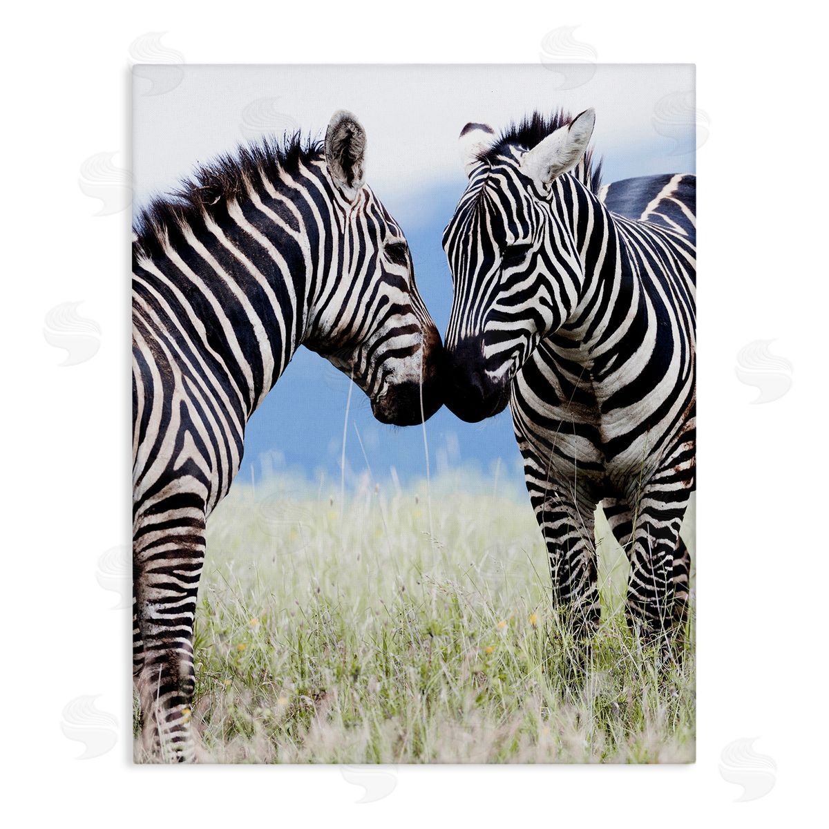 Danita Delimont Heartwarming Zebras Kissing in Field Animal Wildlife  Stretched Canvas Wall Art Print