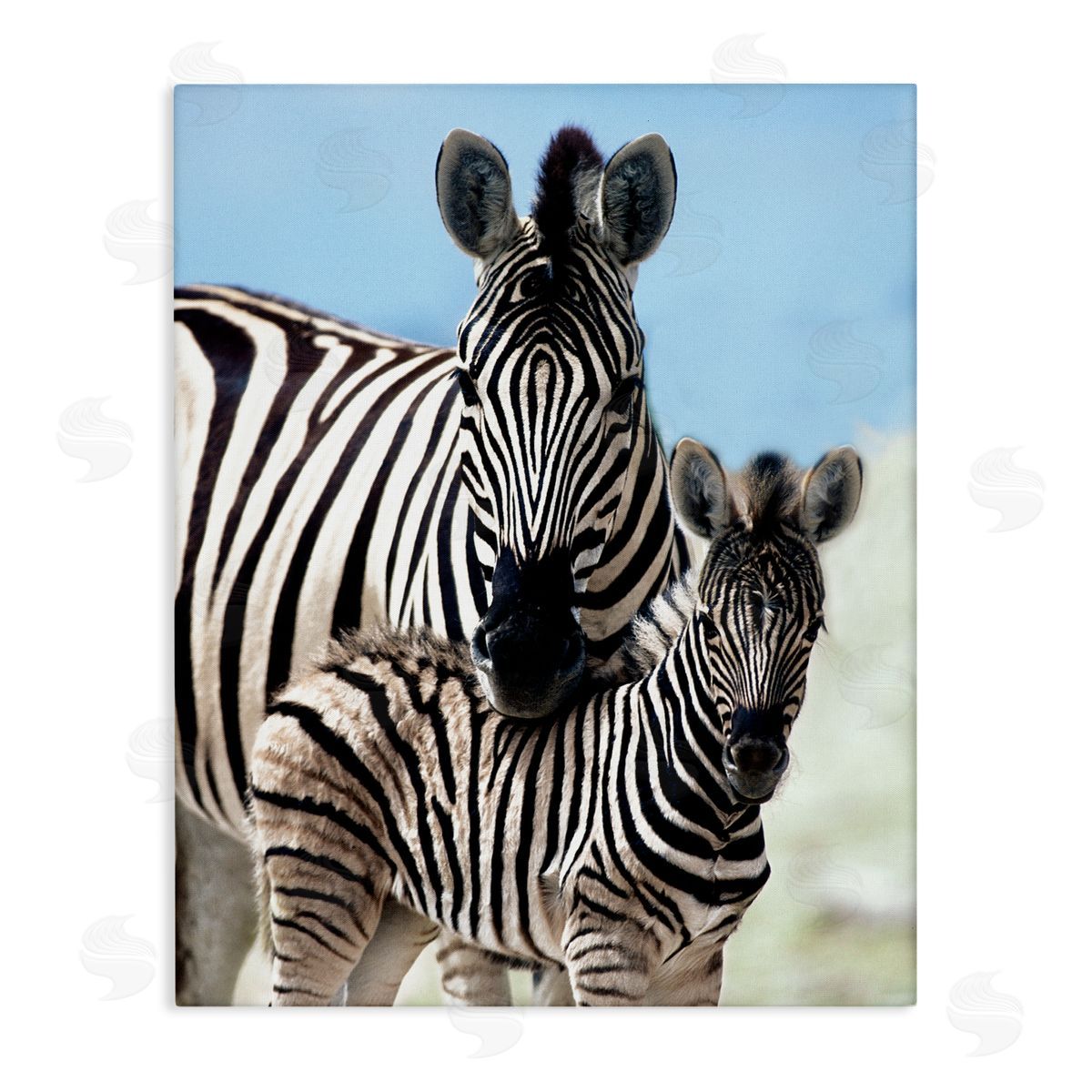 Danita Delimont Uplifting Zebra Family Mother Child Savanna Animals Stretched Canvas Wall Art Print