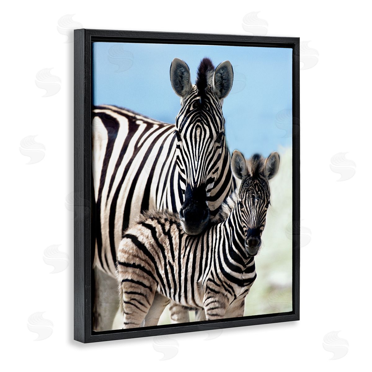 Danita Delimont Uplifting Zebra Family Mother Child Savanna Animals Black Floating Frame Canvas Wall Art Print