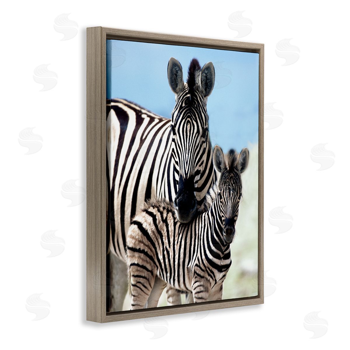 Danita Delimont Uplifting Zebra Family Mother Child Savanna Animals Brown Floating Frame Canvas Wall Art Print